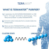 Terawater Purifier
