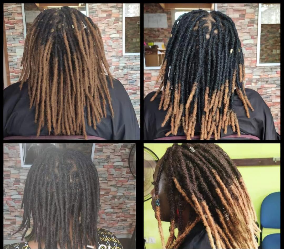 Ombre Human Hair Dreadlocks